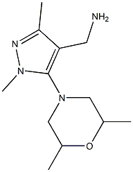 [5-(2,6-dimethylmorpholin-4-yl)-1,3-dimethyl-1H-pyrazol-4-yl]methanamine Struktur