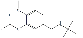 {[3-(difluoromethoxy)-4-methoxyphenyl]methyl}(2-methylbutan-2-yl)amine Struktur