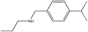 {[4-(propan-2-yl)phenyl]methyl}(propyl)amine Struktur