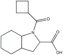 1-(cyclobutylcarbonyl)octahydro-1H-indole-2-carboxylic acid Struktur