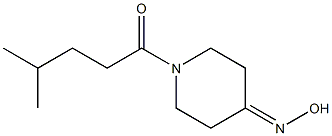 1-[4-(hydroxyimino)piperidin-1-yl]-4-methylpentan-1-one Struktur