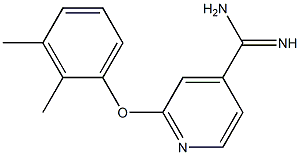 2-(2,3-dimethylphenoxy)pyridine-4-carboximidamide Struktur