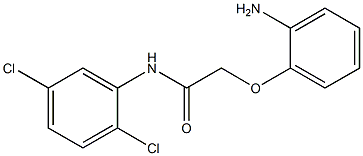 2-(2-aminophenoxy)-N-(2,5-dichlorophenyl)acetamide Struktur