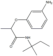 2-(3-aminophenoxy)-N-(2-methylbutan-2-yl)propanamide Struktur