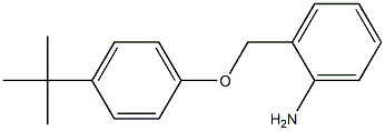 2-(4-tert-butylphenoxymethyl)aniline Struktur