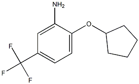 2-(cyclopentyloxy)-5-(trifluoromethyl)aniline Struktur