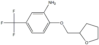 2-(oxolan-2-ylmethoxy)-5-(trifluoromethyl)aniline Struktur