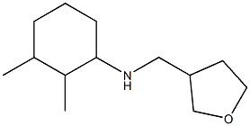 2,3-dimethyl-N-(oxolan-3-ylmethyl)cyclohexan-1-amine Struktur