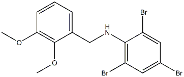 2,4,6-tribromo-N-[(2,3-dimethoxyphenyl)methyl]aniline Struktur