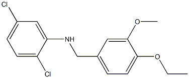 2,5-dichloro-N-[(4-ethoxy-3-methoxyphenyl)methyl]aniline Structure