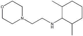 2,6-dimethyl-N-[2-(morpholin-4-yl)ethyl]cyclohexan-1-amine Struktur