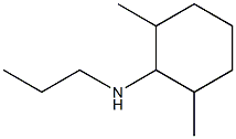 2,6-dimethyl-N-propylcyclohexan-1-amine Struktur