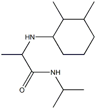 2-[(2,3-dimethylcyclohexyl)amino]-N-(propan-2-yl)propanamide Struktur