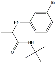 2-[(3-bromophenyl)amino]-N-tert-butylpropanamide Struktur