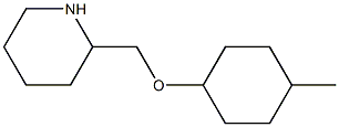 2-{[(4-methylcyclohexyl)oxy]methyl}piperidine Struktur