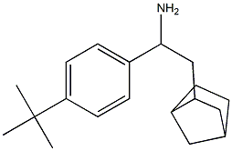 2-{bicyclo[2.2.1]heptan-2-yl}-1-(4-tert-butylphenyl)ethan-1-amine Struktur