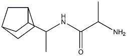 2-amino-N-(1-bicyclo[2.2.1]hept-2-ylethyl)propanamide Struktur