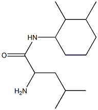 2-amino-N-(2,3-dimethylcyclohexyl)-4-methylpentanamide Struktur