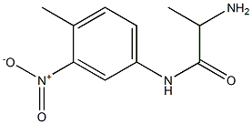 2-amino-N-(4-methyl-3-nitrophenyl)propanamide Struktur