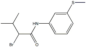 2-bromo-3-methyl-N-[3-(methylthio)phenyl]butanamide Struktur