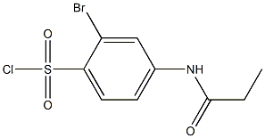 2-bromo-4-propanamidobenzene-1-sulfonyl chloride Struktur