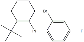 2-bromo-N-(2-tert-butylcyclohexyl)-4-fluoroaniline Struktur