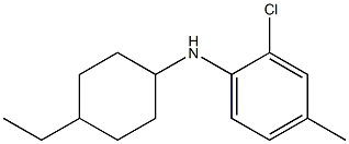 2-chloro-N-(4-ethylcyclohexyl)-4-methylaniline Struktur