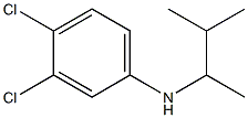 3,4-dichloro-N-(3-methylbutan-2-yl)aniline Struktur