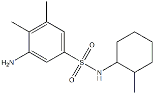 3-amino-4,5-dimethyl-N-(2-methylcyclohexyl)benzene-1-sulfonamide Struktur