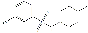 3-amino-N-(4-methylcyclohexyl)benzenesulfonamide Struktur