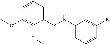 3-bromo-N-[(2,3-dimethoxyphenyl)methyl]aniline Struktur