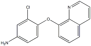 3-chloro-4-(quinolin-8-yloxy)aniline Struktur