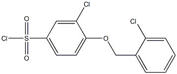 3-chloro-4-[(2-chlorophenyl)methoxy]benzene-1-sulfonyl chloride Struktur