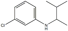 3-chloro-N-(3-methylbutan-2-yl)aniline Struktur