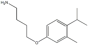 4-(4-aminobutoxy)-2-methyl-1-(propan-2-yl)benzene Struktur