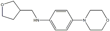 4-(morpholin-4-yl)-N-(oxolan-3-ylmethyl)aniline Struktur