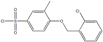 4-[(2-chlorophenyl)methoxy]-3-methylbenzene-1-sulfonyl chloride Struktur