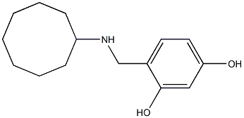 4-[(cyclooctylamino)methyl]benzene-1,3-diol Struktur