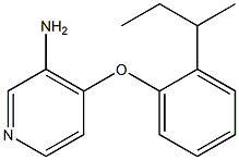 4-[2-(butan-2-yl)phenoxy]pyridin-3-amine Struktur