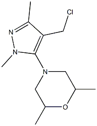 4-[4-(chloromethyl)-1,3-dimethyl-1H-pyrazol-5-yl]-2,6-dimethylmorpholine Struktur