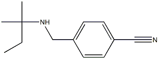 4-{[(2-methylbutan-2-yl)amino]methyl}benzonitrile Structure