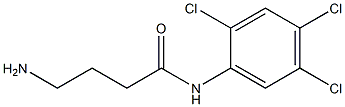 4-amino-N-(2,4,5-trichlorophenyl)butanamide Struktur