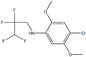 4-chloro-2,5-dimethoxy-N-(2,2,3,3-tetrafluoropropyl)aniline Struktur