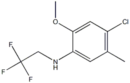 4-chloro-2-methoxy-5-methyl-N-(2,2,2-trifluoroethyl)aniline Struktur