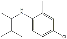 4-chloro-2-methyl-N-(3-methylbutan-2-yl)aniline Struktur