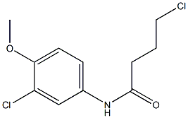 4-chloro-N-(3-chloro-4-methoxyphenyl)butanamide Struktur