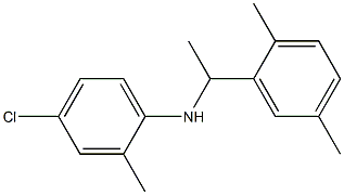 4-chloro-N-[1-(2,5-dimethylphenyl)ethyl]-2-methylaniline Struktur