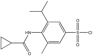 4-cyclopropaneamido-3-methyl-5-(propan-2-yl)benzene-1-sulfonyl chloride Struktur