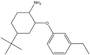 4-tert-butyl-2-(3-ethylphenoxy)cyclohexan-1-amine Struktur