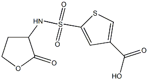 5-[(2-oxooxolan-3-yl)sulfamoyl]thiophene-3-carboxylic acid Struktur